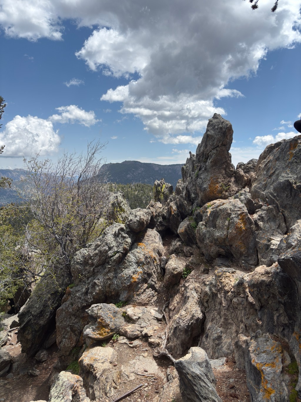 R&R Post 1: Last Minute&nbsp;Decisions